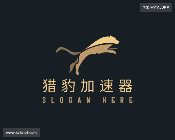 关于猎豹加速器
